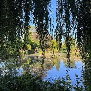 Meet your Posher, Alexandra